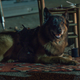 Image for article titled The Walking Dead Revealed the Origin of Its Newest Homicidal Nitwits
